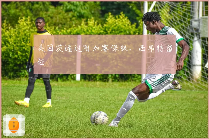 美因茨通过附加赛保级,西韦特留任