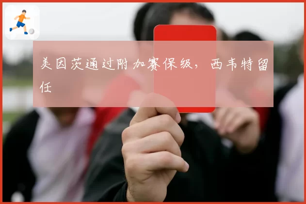 美因茨通过附加赛保级,西韦特留任